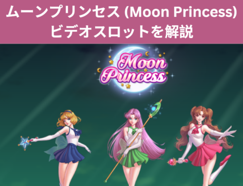 ビデオスロット「ムーンプリンセス (Moon Princess) 」を解説!